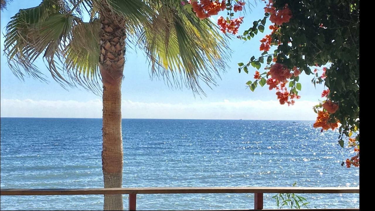 Mi Capricho 170 Beachfront Apartment Sitio de Calahonda Екстериор снимка